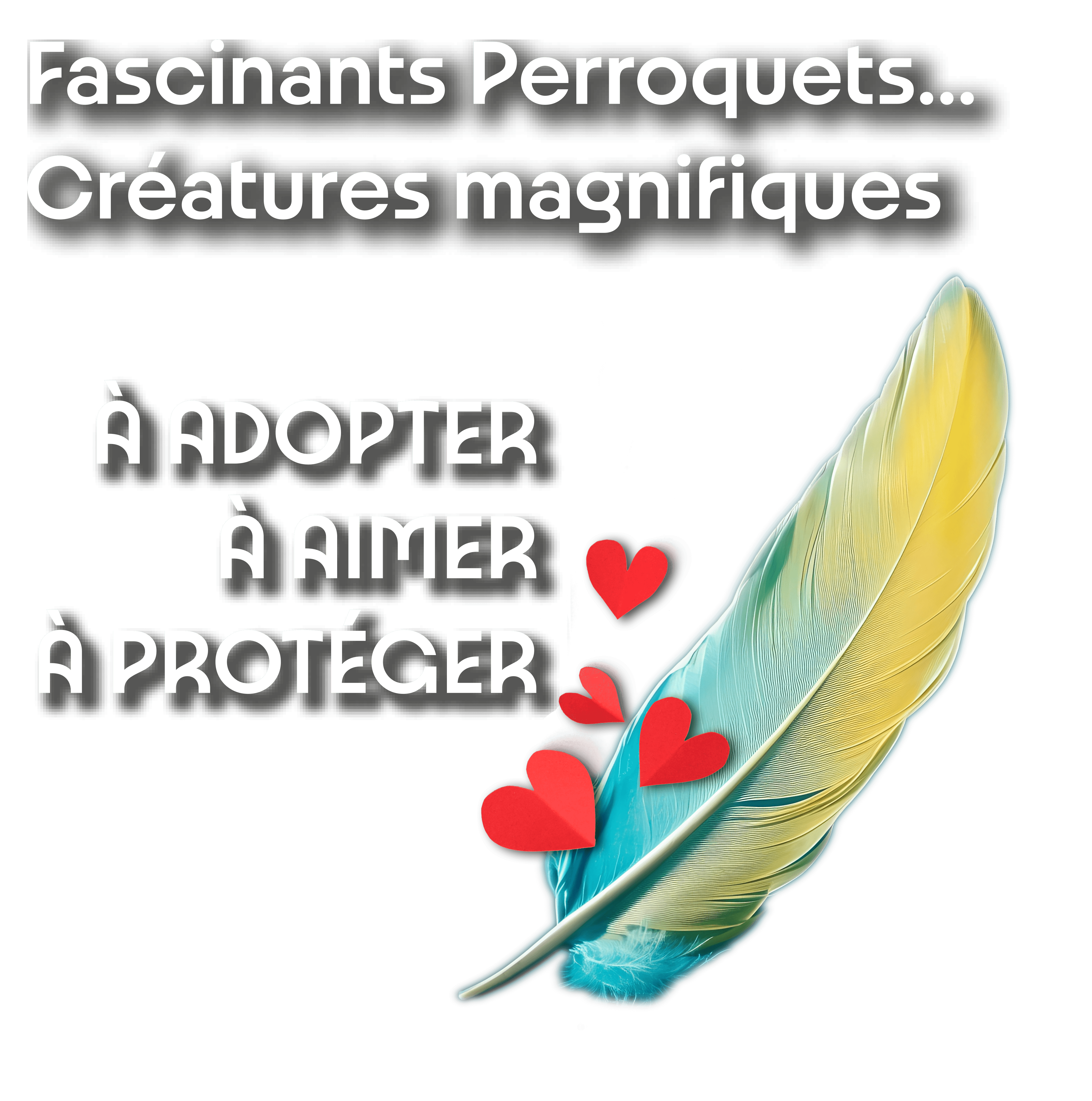 fascinant perroquet min scaled fascinant perroquet min scaled