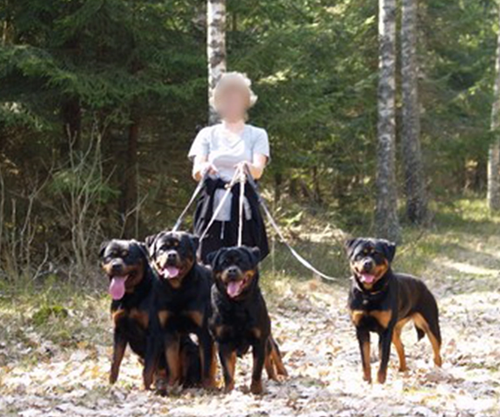 chien garde