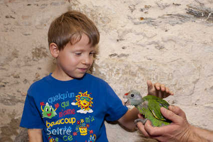 enlever copyright l enfant et l amazone