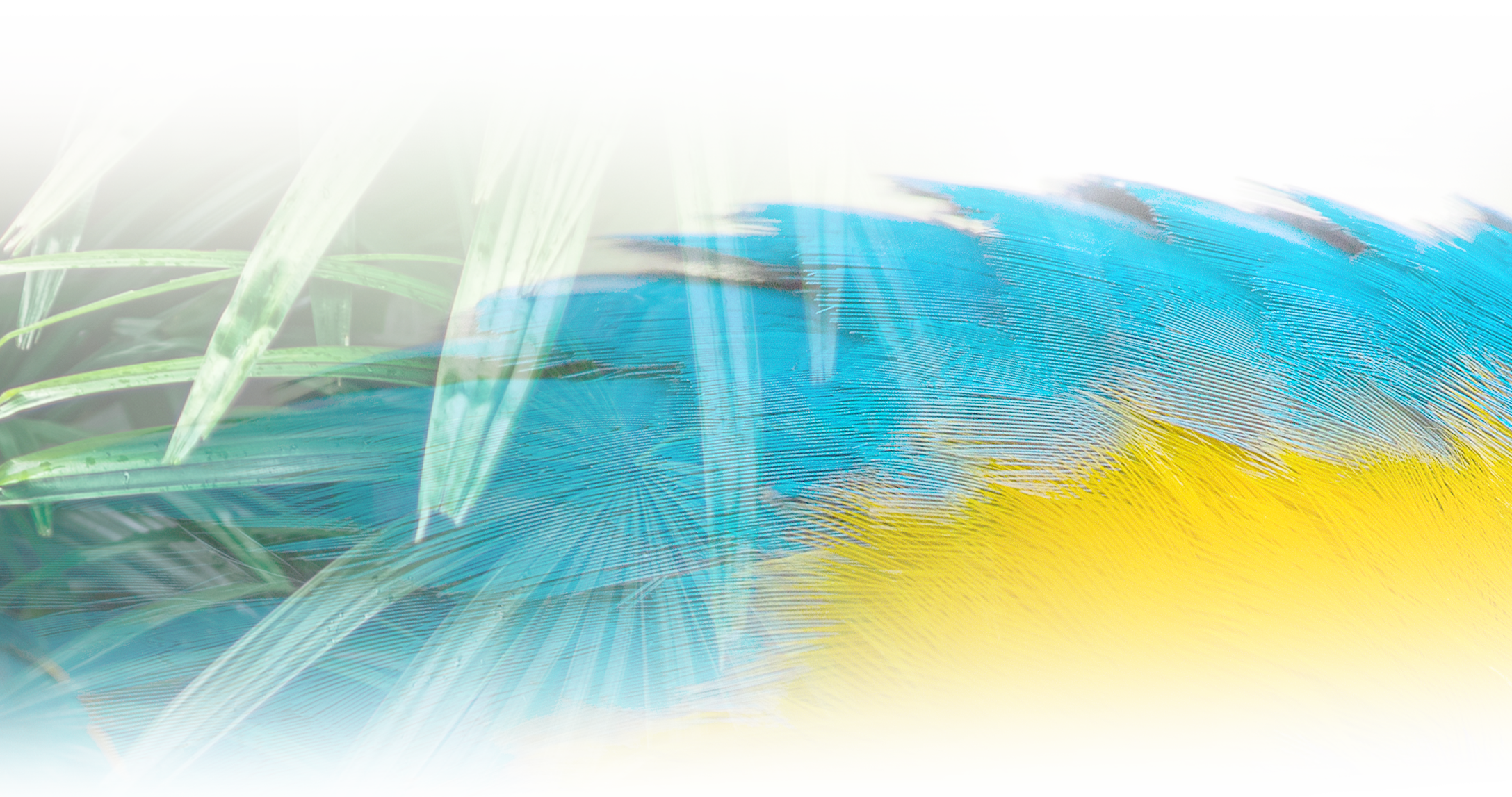parallax background