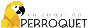 logo unamourdeperroquet horizontal